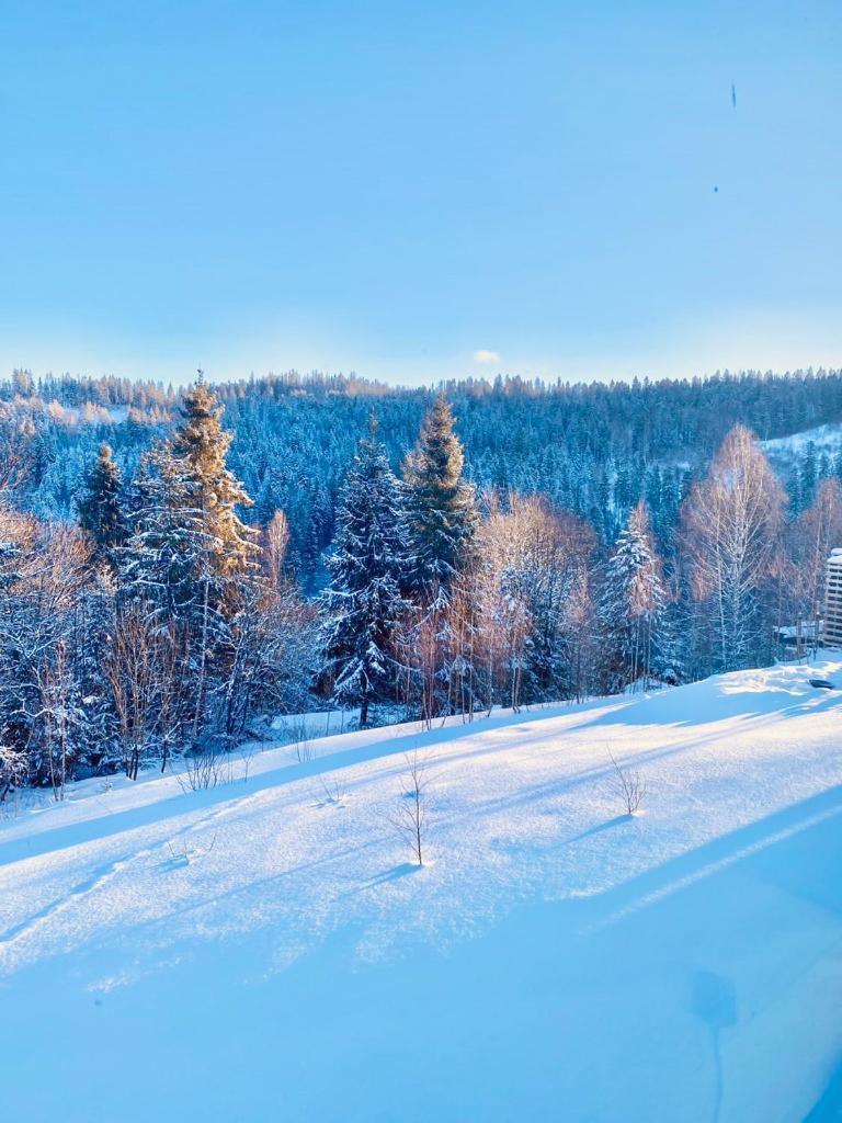 Mount Hotel Slavske Dış mekan fotoğraf